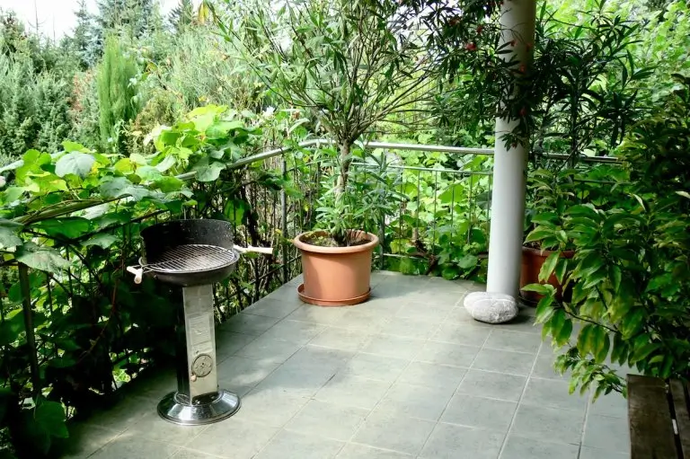 Balkon Ferienhaus "Am Berg"