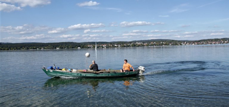 Bodensee-Fischerei am Untersee