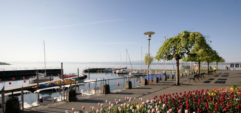 Yachthafen in Hagnau
