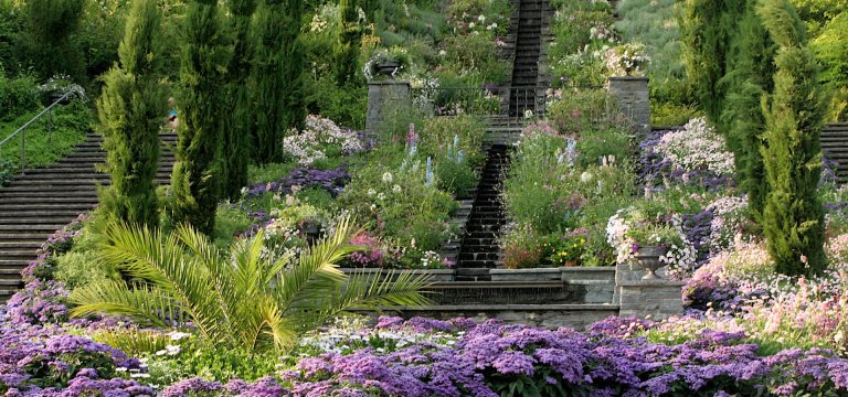 Bepflanzung auf der Insel Mainau