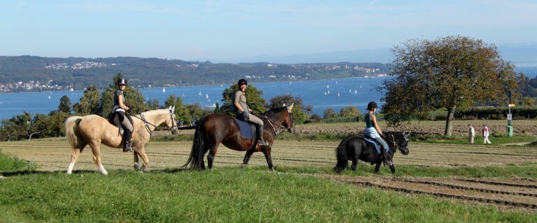 Reiterinnen mit Blick auf den Bodensee