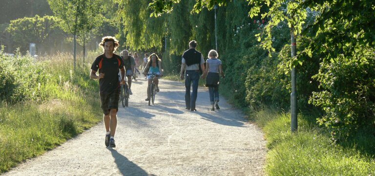 Joggen auf der Reichenau 6 Joggen direkt am Bodensee